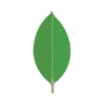 MongoDB logo
